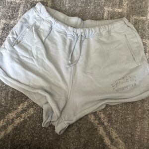PacSun Light Blue Fleece Shorts